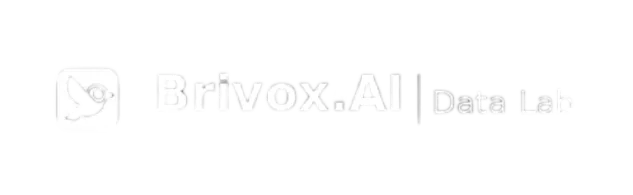 BRIVOX DATA LAB